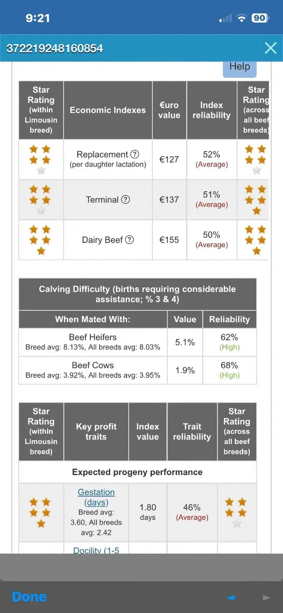 Pbr limousine Bull - Image 4