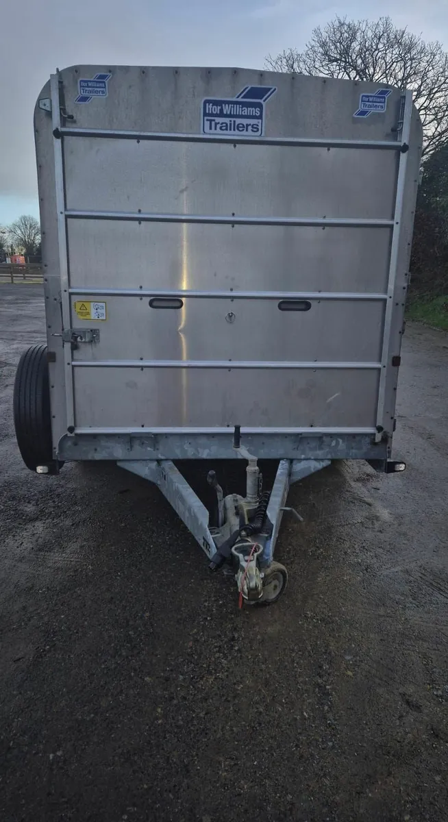 Ifor Williams 12 x 6  cattle/sheep trailer 2022 - Image 2