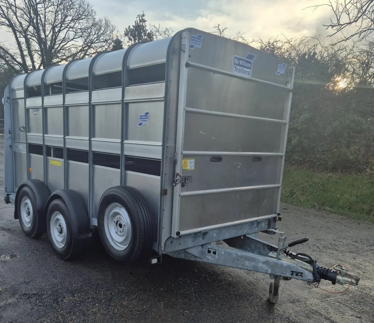 Ifor Williams 12 x 6  cattle/sheep trailer 2022 - Image 1