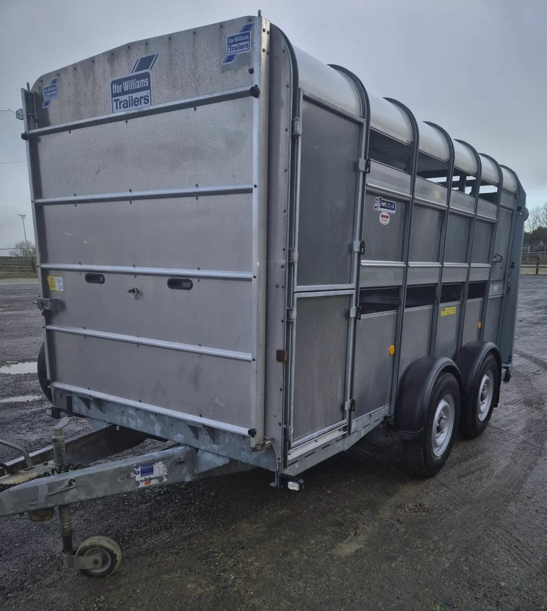 Ifor Williams 12 x 6  cattle/sheep trailer 2022 - Image 3
