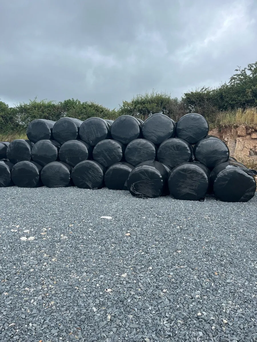 Top quality Haylage for sale - Image 2
