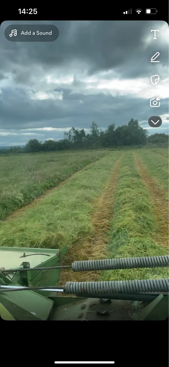 Top quality Haylage for sale - Image 3