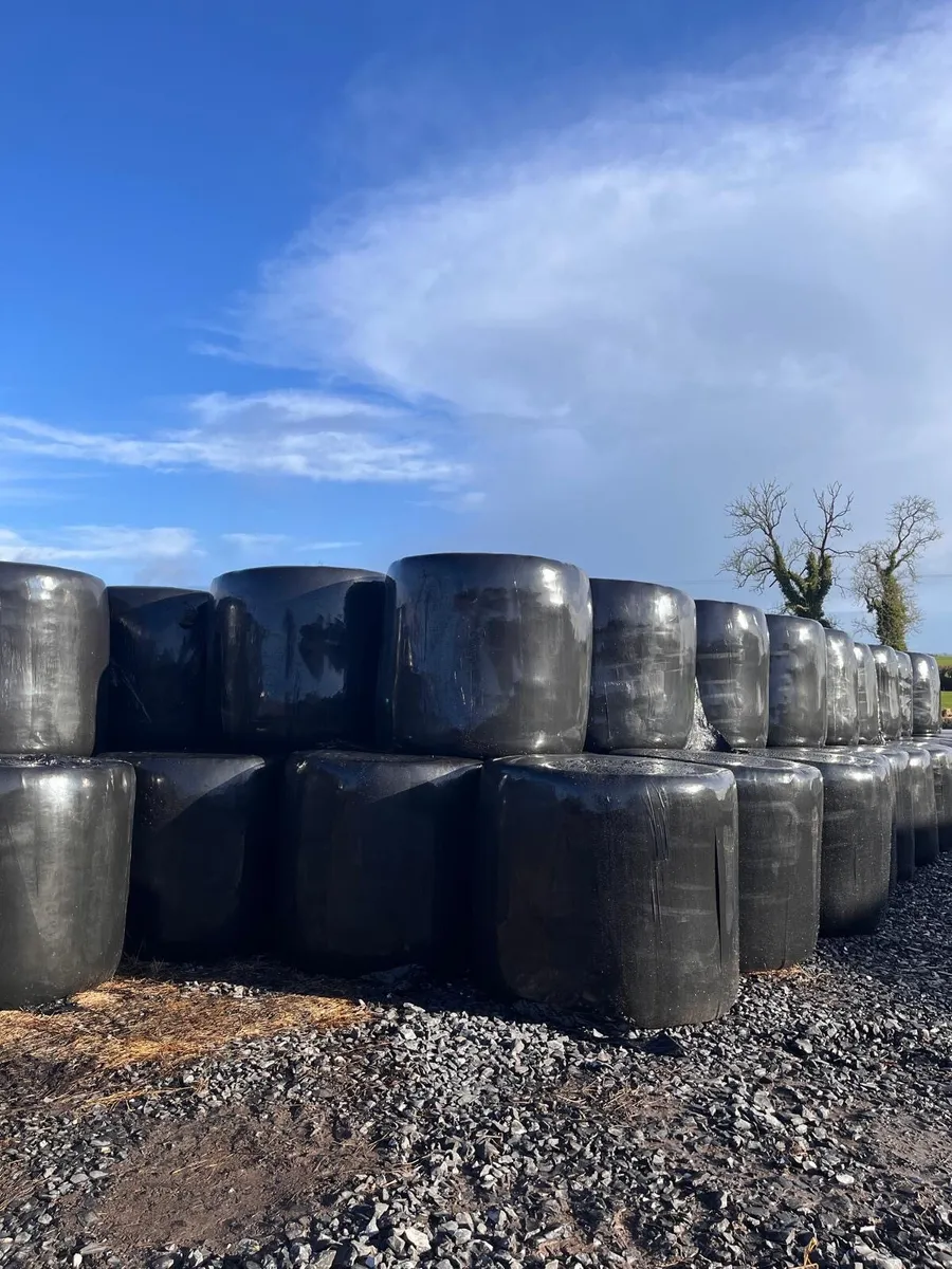 4X4 bales of Silage and Straw - Image 2