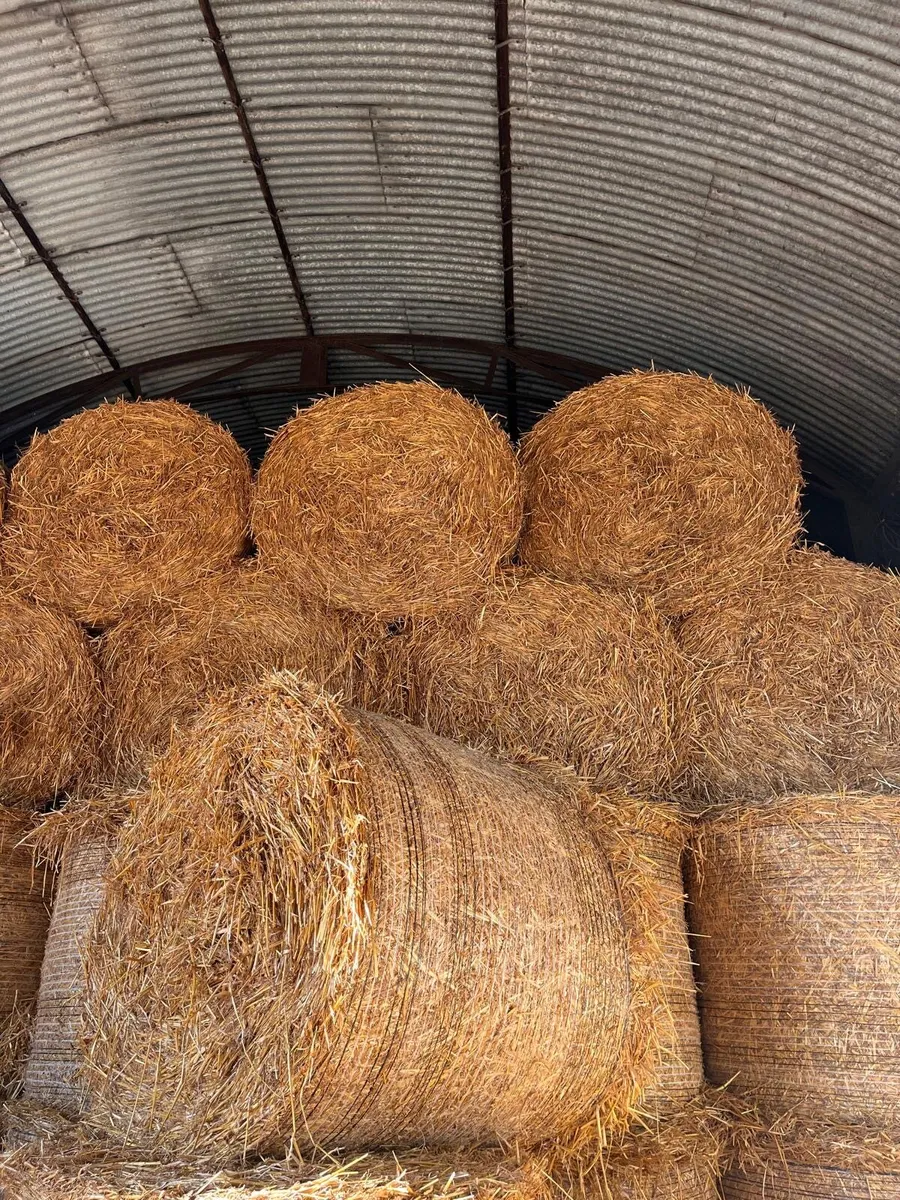 4X4 bales of Silage and Straw - Image 1