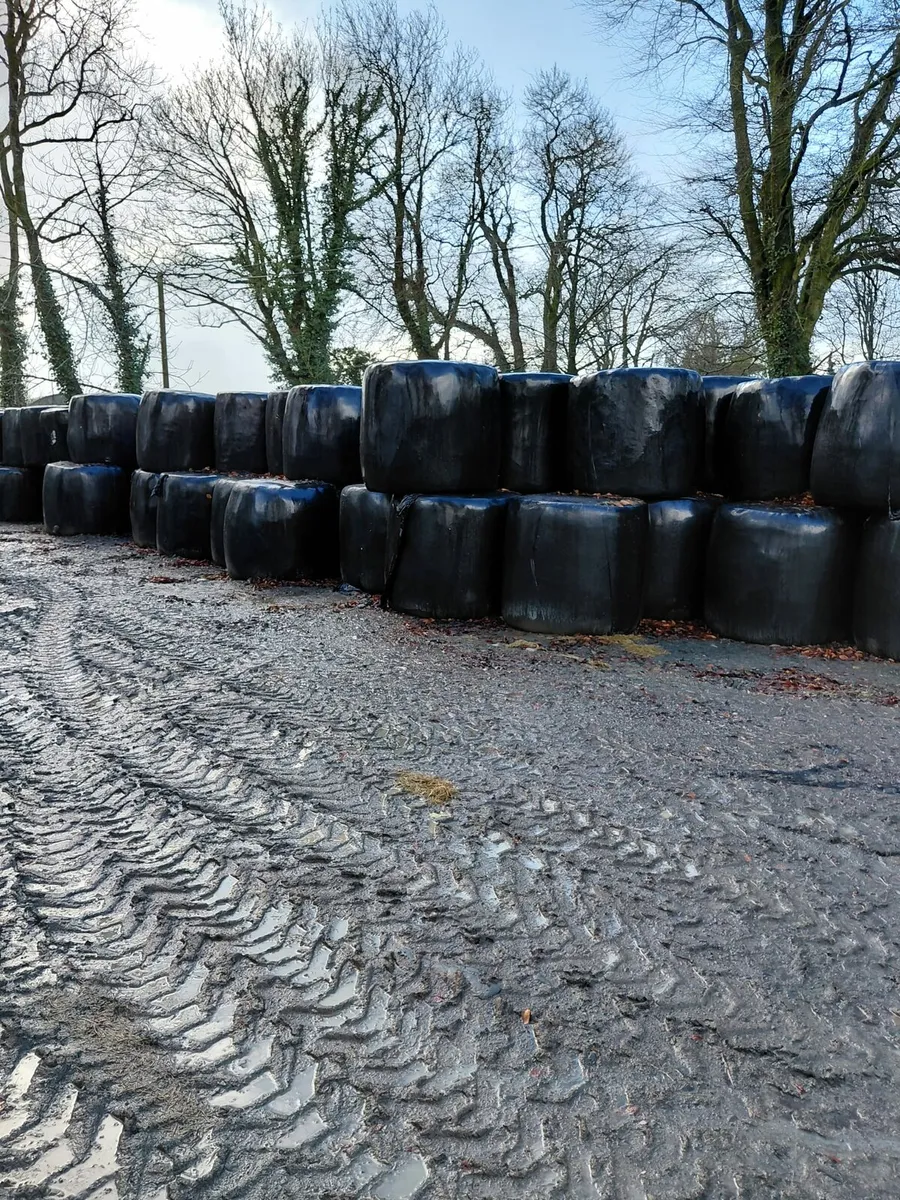Bales of Top Quality silage - Image 2