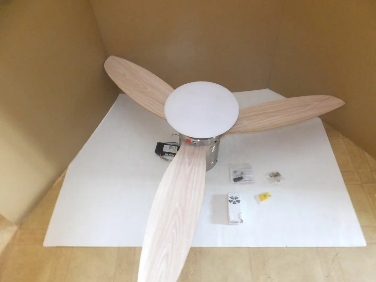 Ceiling Fan Light - Image 1