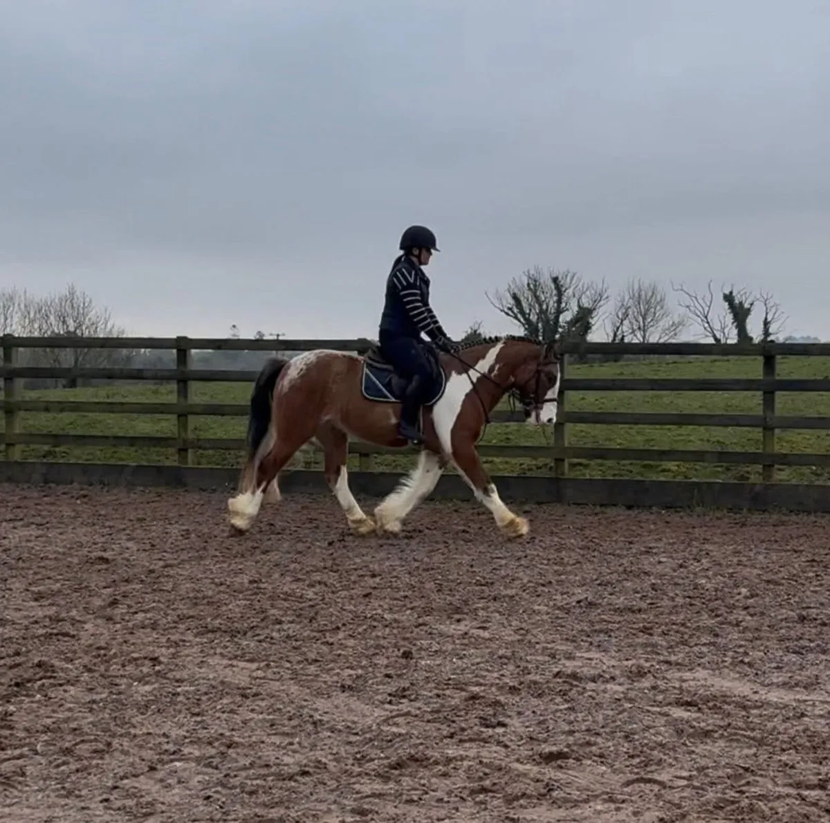 Flashy 14.2 Cob - Image 3