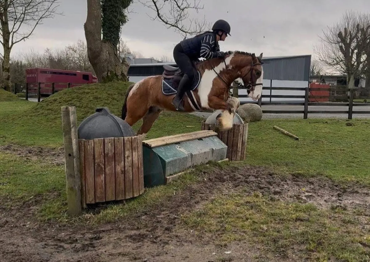 Flashy 14.2 Cob - Image 4