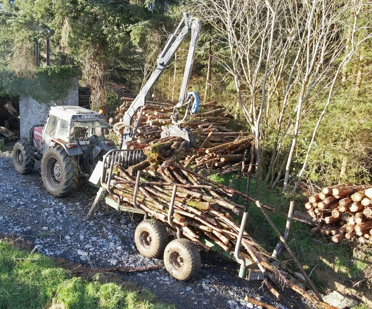 Firewood: Trailer Load of Ash Logs - Image 1