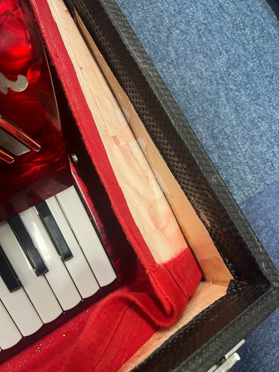 Parrot Keys Accordion - Image 4