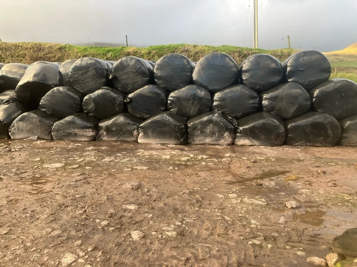 Silage bales