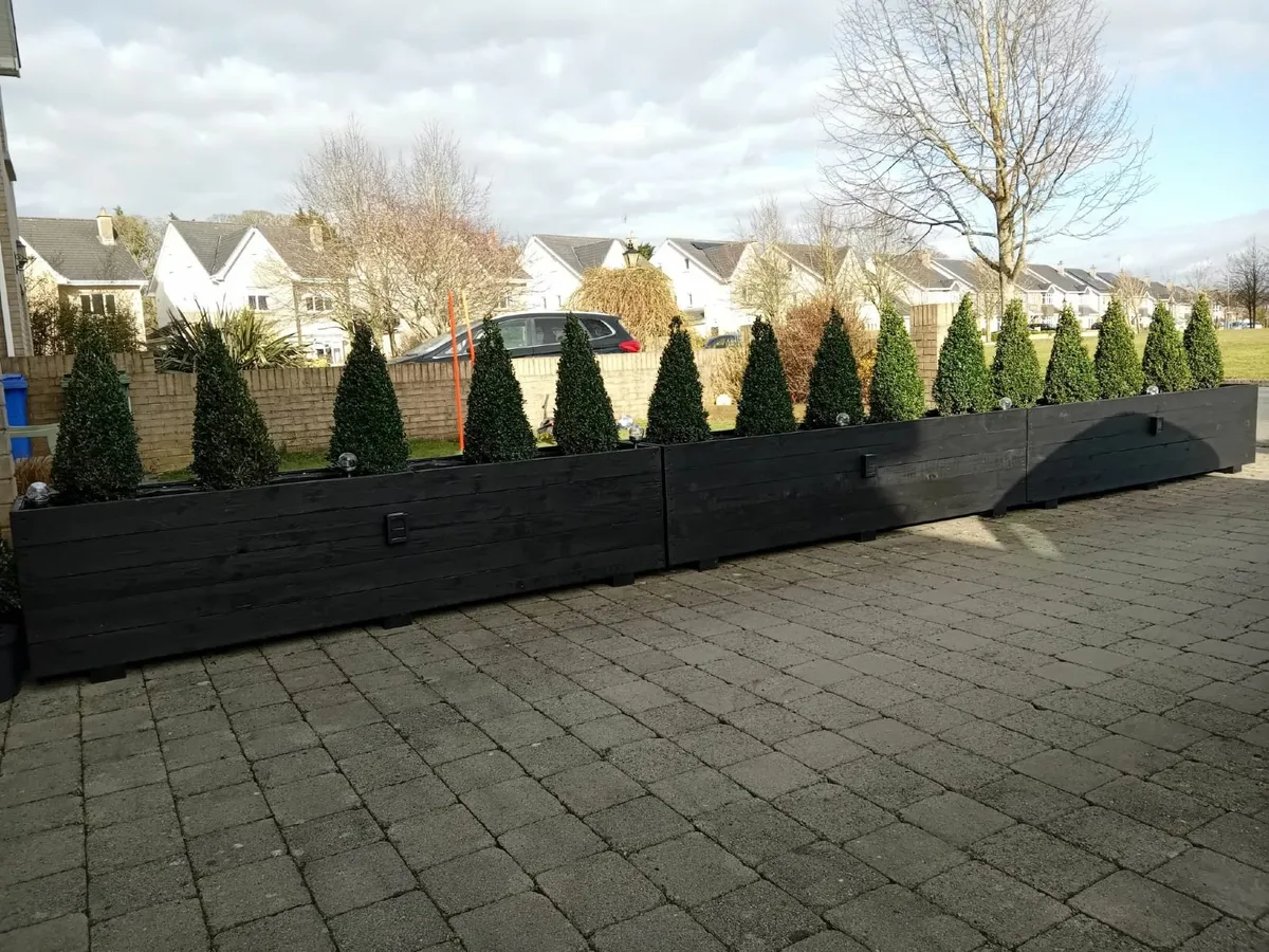 Outdoor Custom Wooden Planters - Image 3