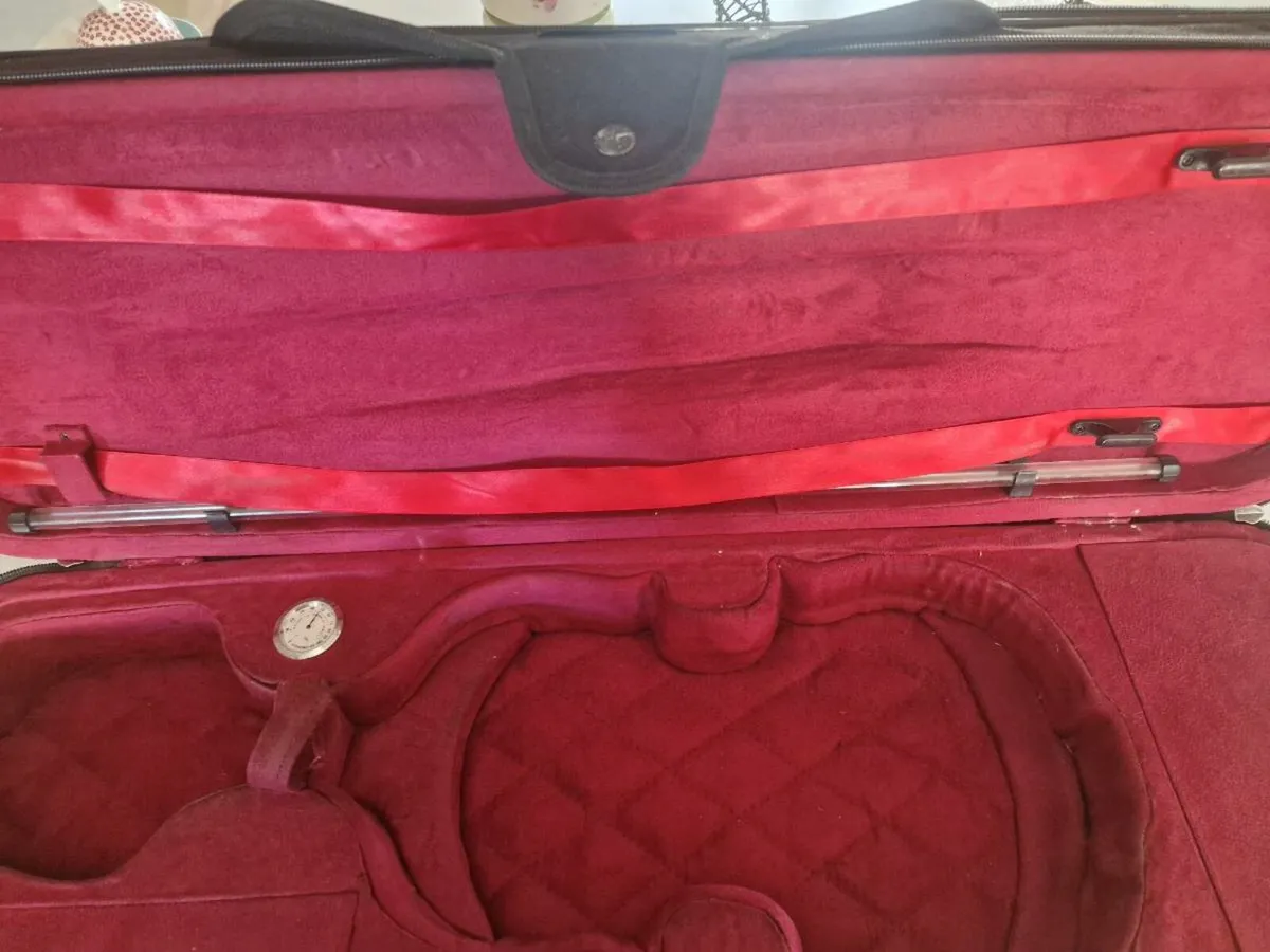 Violin Hard Case - Image 2