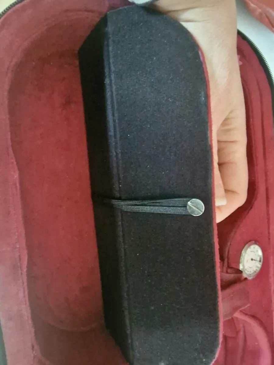 Violin Hard Case - Image 3