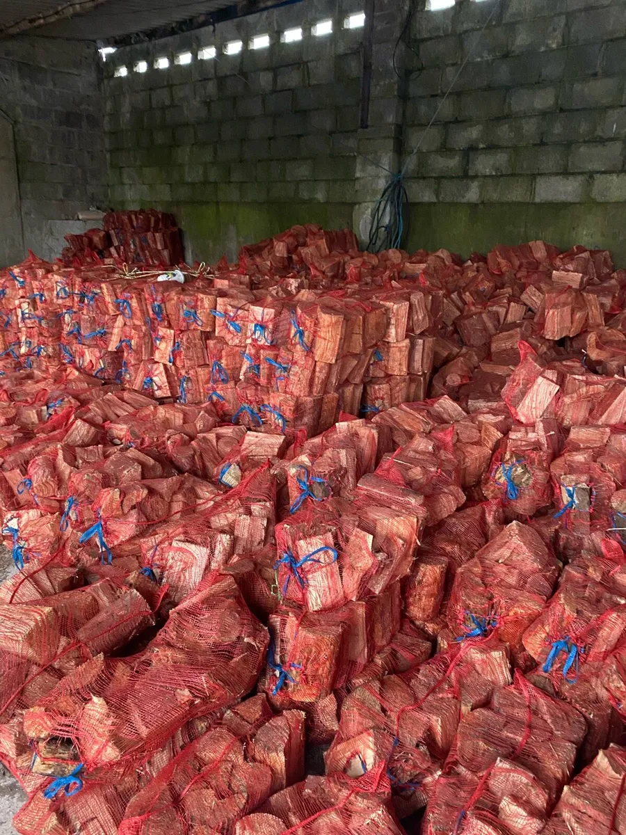 Seasoned Firewood - Image 4