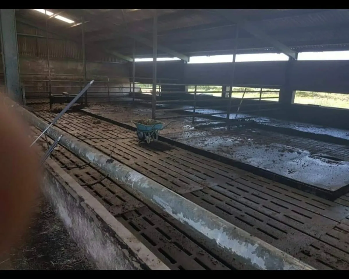 Farm Shed Power Washed And repair - Image 3