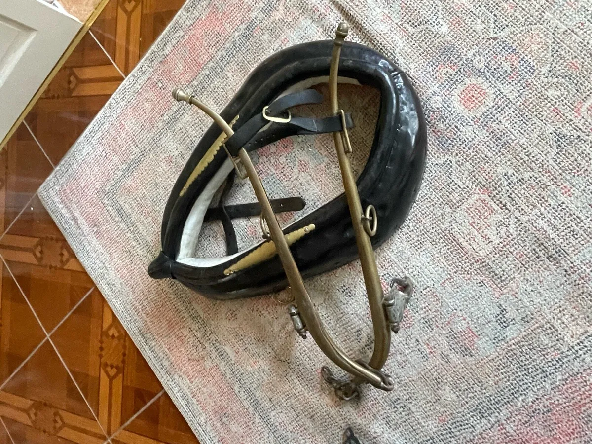 English leather heavy horse harness - Image 1
