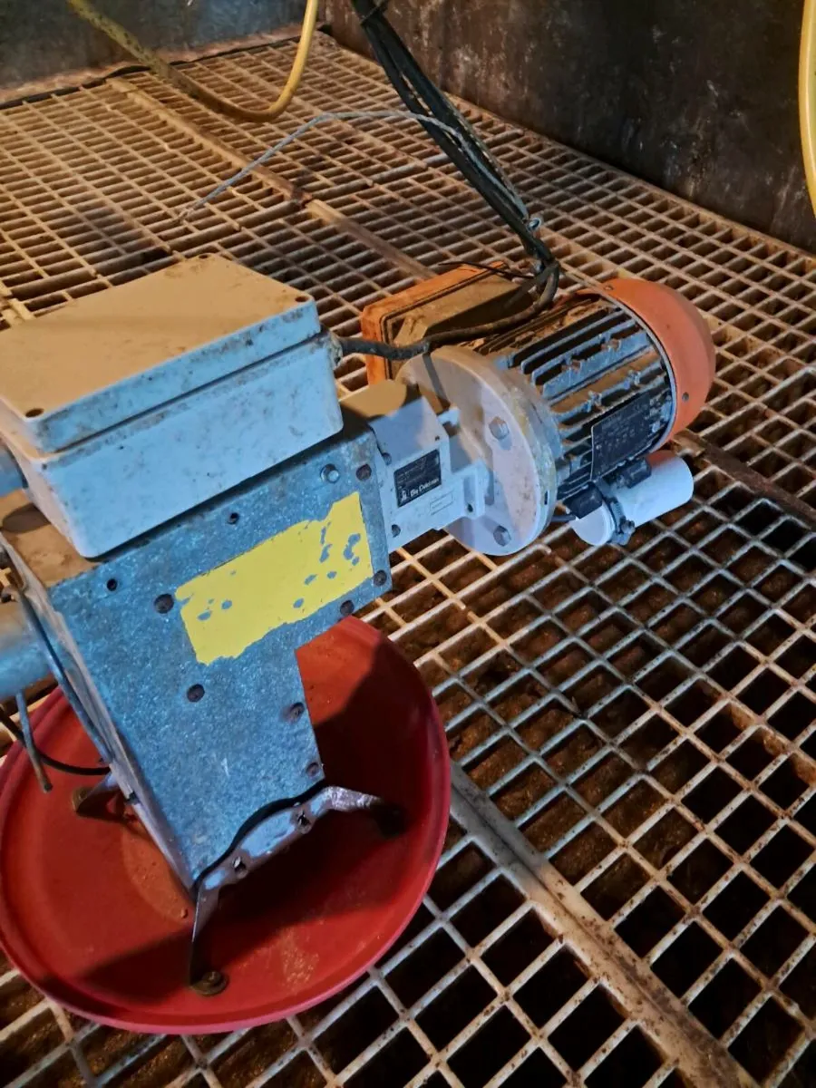 Poultry equipment - feeding system - Image 3