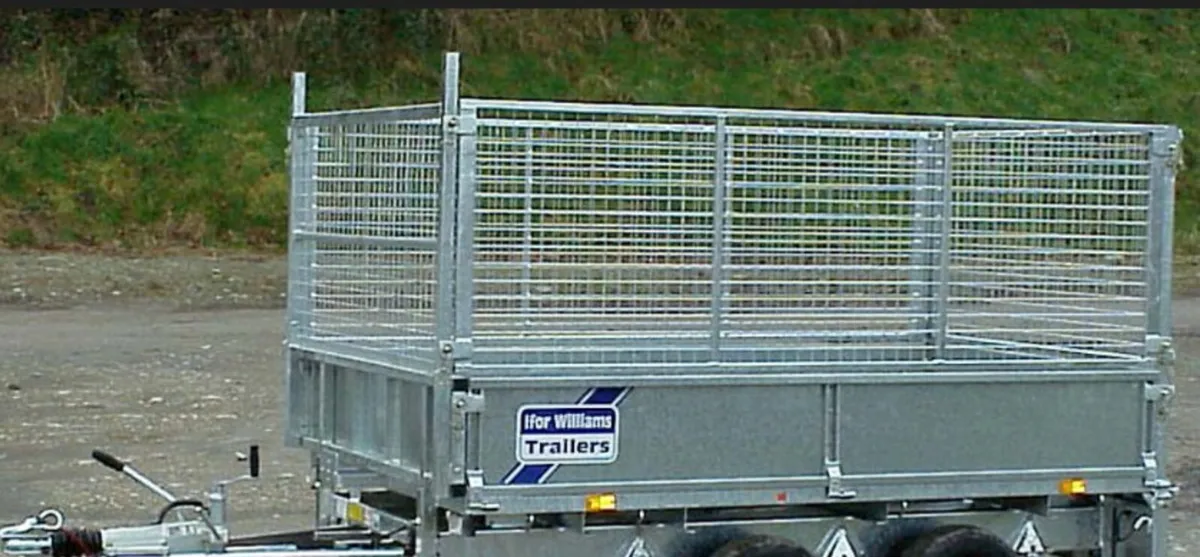 T0100 Special Offer  Mesh Sides 8 x 5  Ifor Willia - Image 1