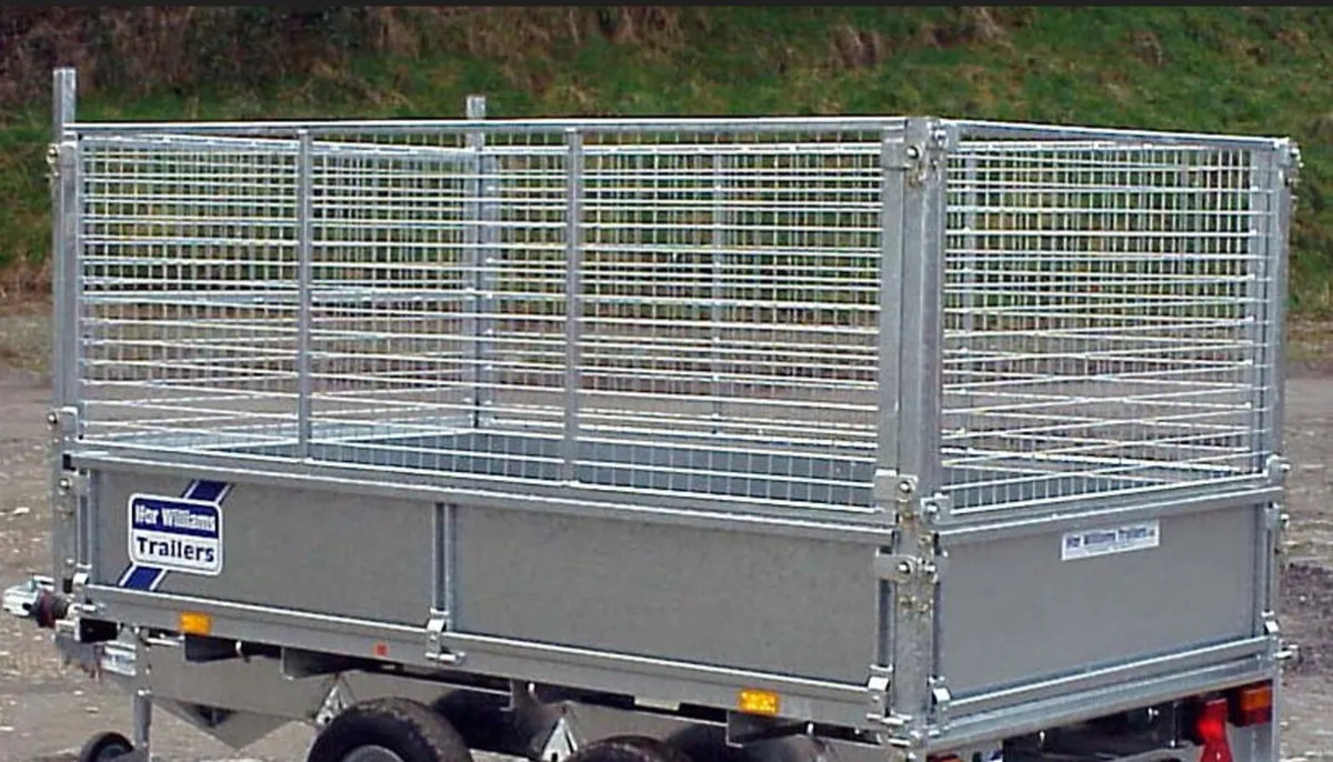 T0100 Special Offer  Mesh Sides 8 x 5  Ifor Willia - Image 2