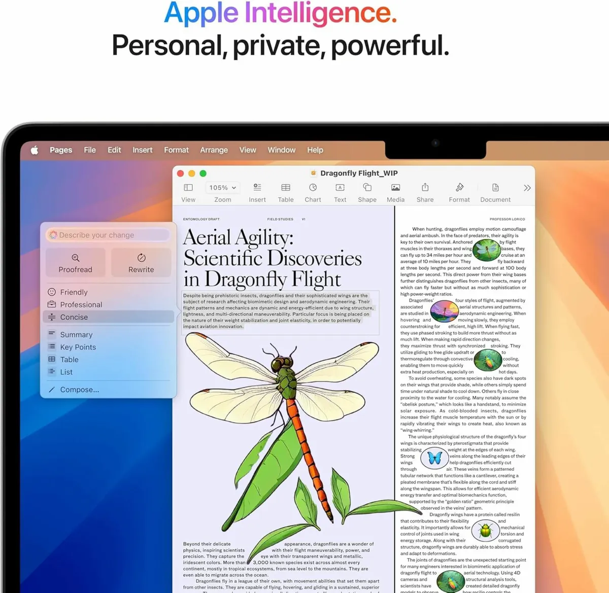 Apple MacBook Air 13 2025 - Brand New - Image 3