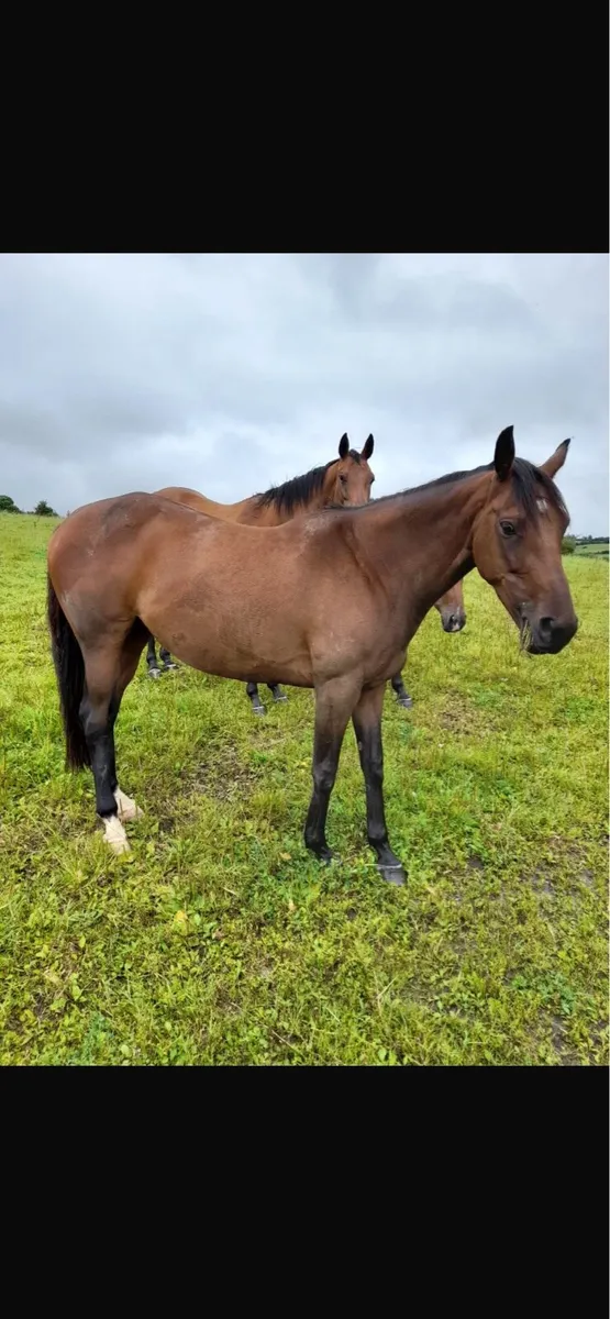 Barely a moment 7yr old - Image 1