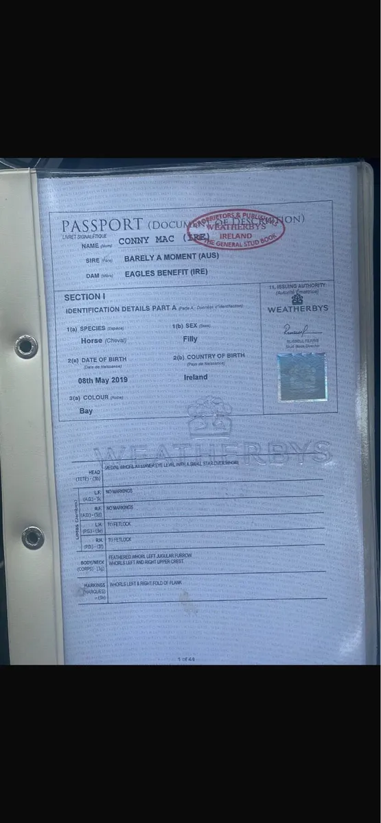 Barely a moment 7yr old - Image 4