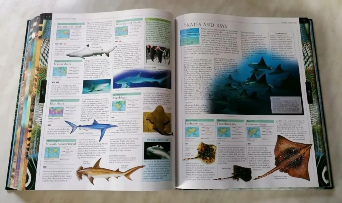 Animal Book - Image 3