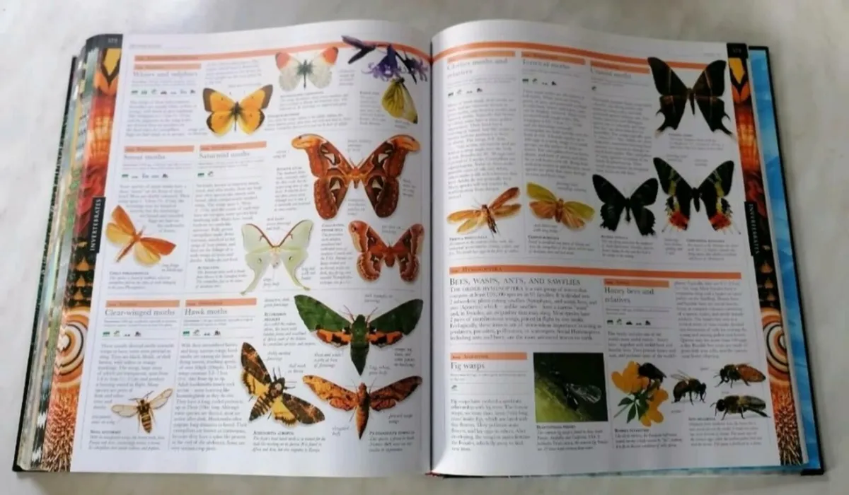 Animal Book - Image 2