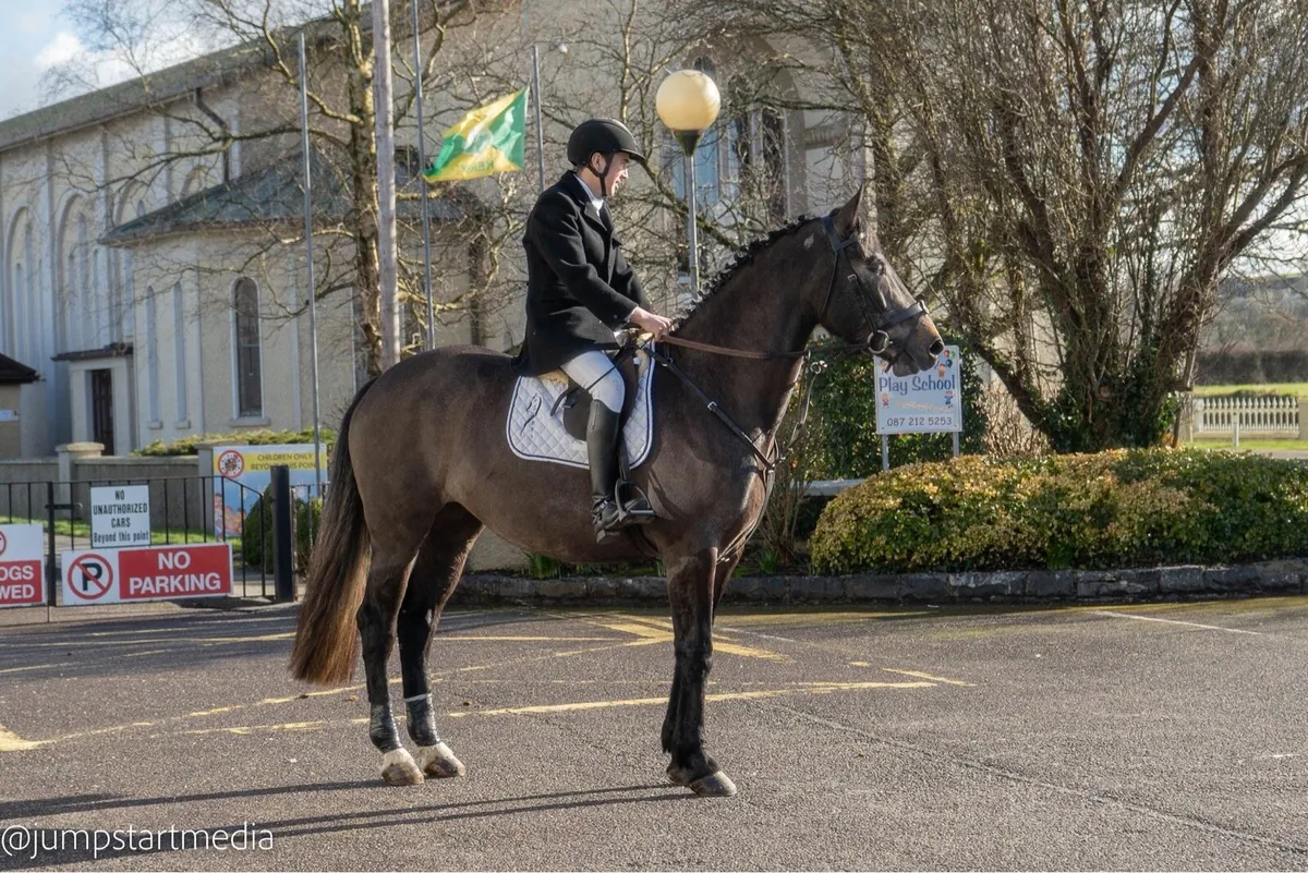 Hunting Mare - Quality Prospect - Image 4