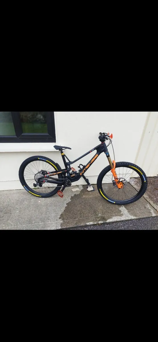 Intense tracer - Image 3