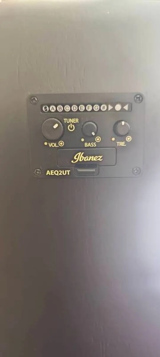 Ibanez Alt20-wk Electro Acoustic Guitar, Weathered Black Open Pore - Image 3