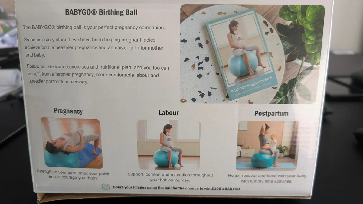 Birthing Ball - Image 2