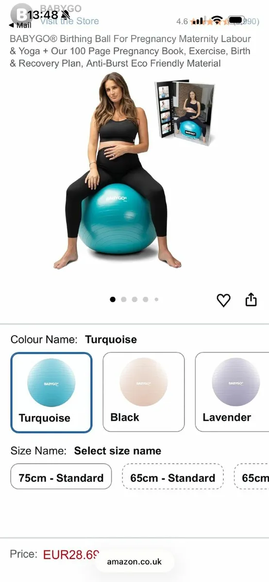 Birthing Ball - Image 3