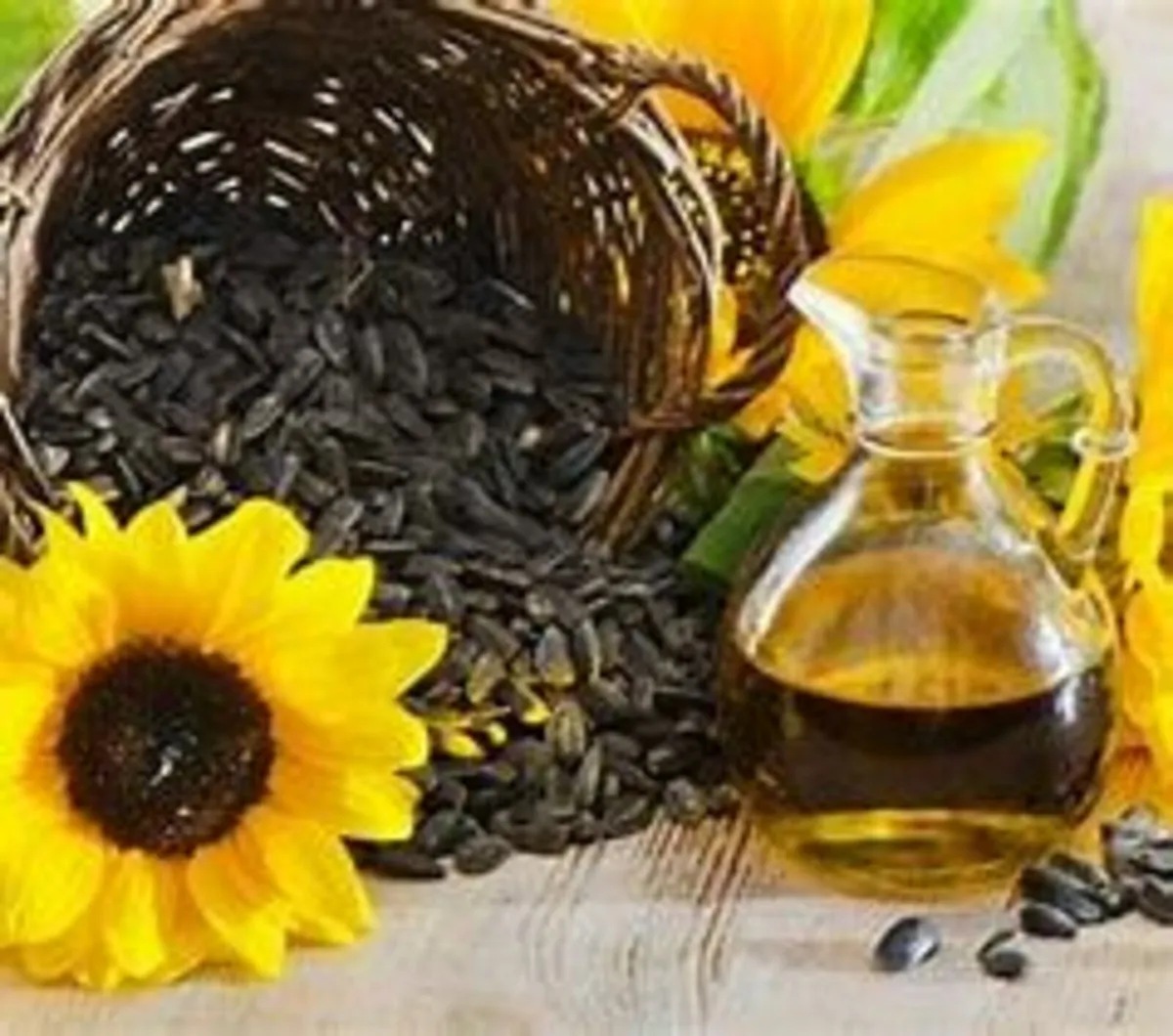 SUNFLOWER OIL, SOY, CORN, PALM 1€/L - Image 3