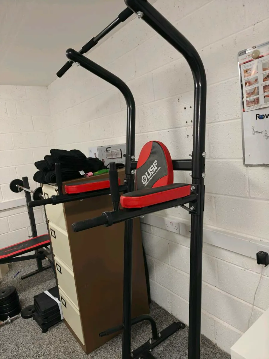 Vertical knee raise/pull up station - Image 1