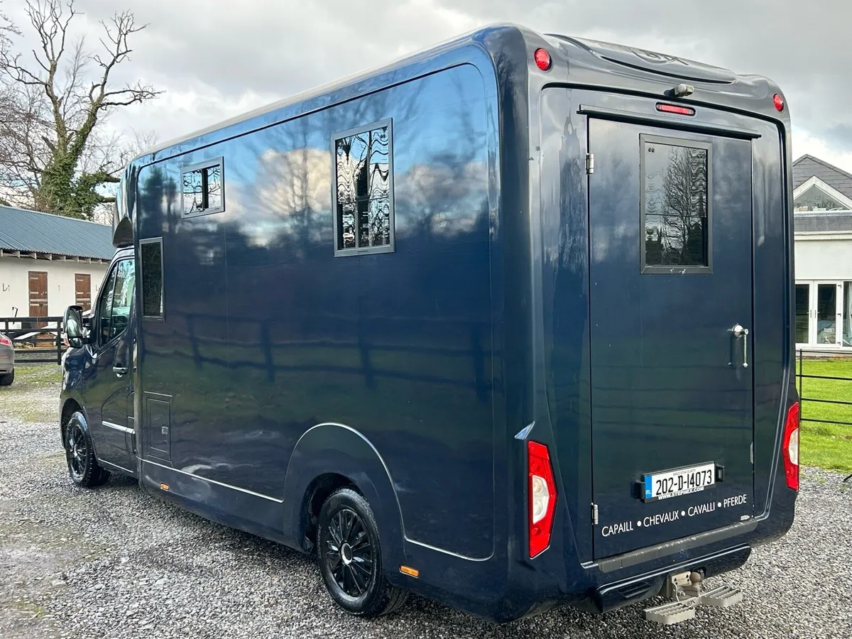 STX 3.5t Horsebox 5 SEATER - Image 4