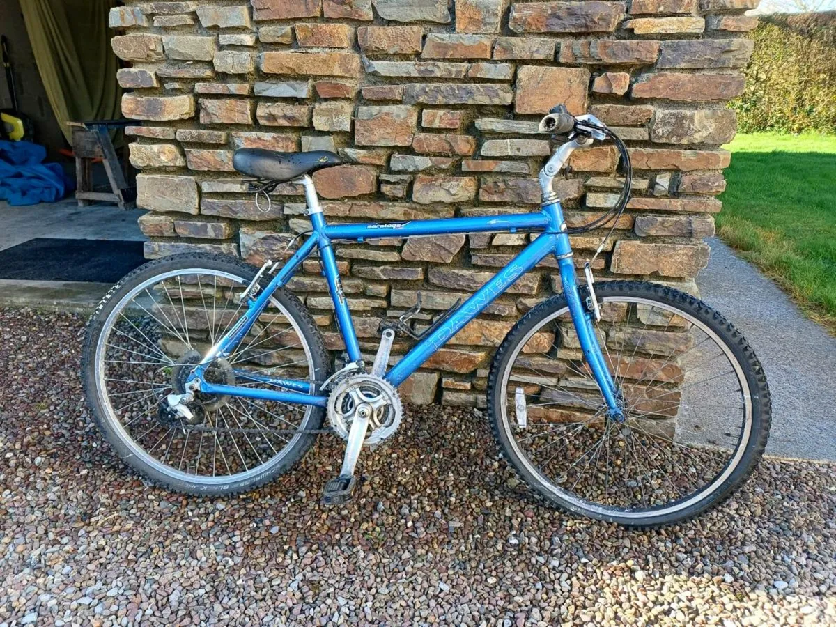 Dawes & Planet Bikes - Image 1