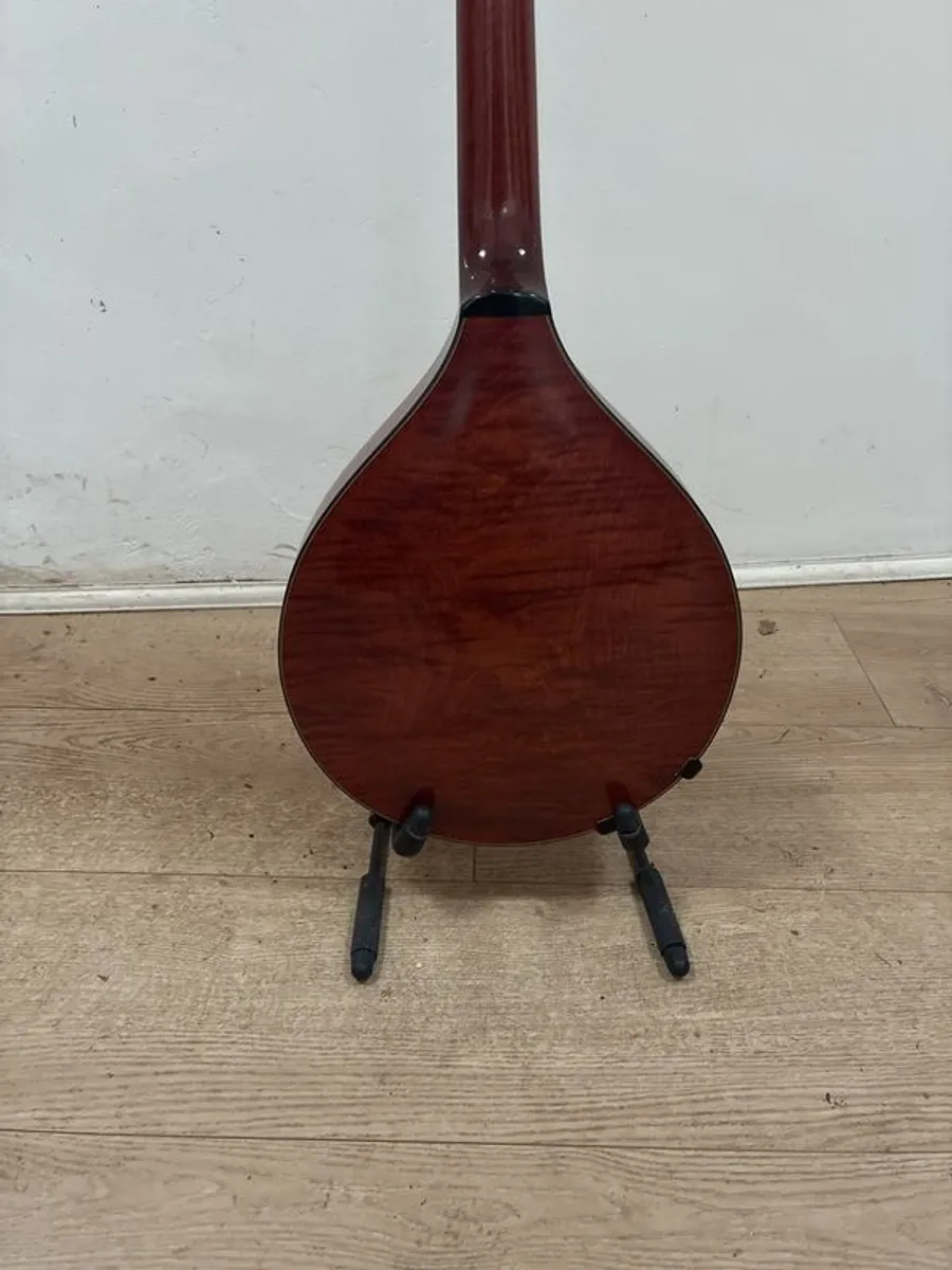 10 String Mandolin - Image 4