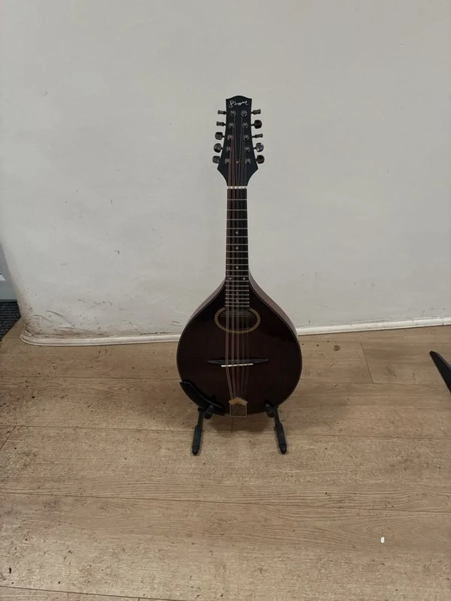 10 String Mandolin - Image 1