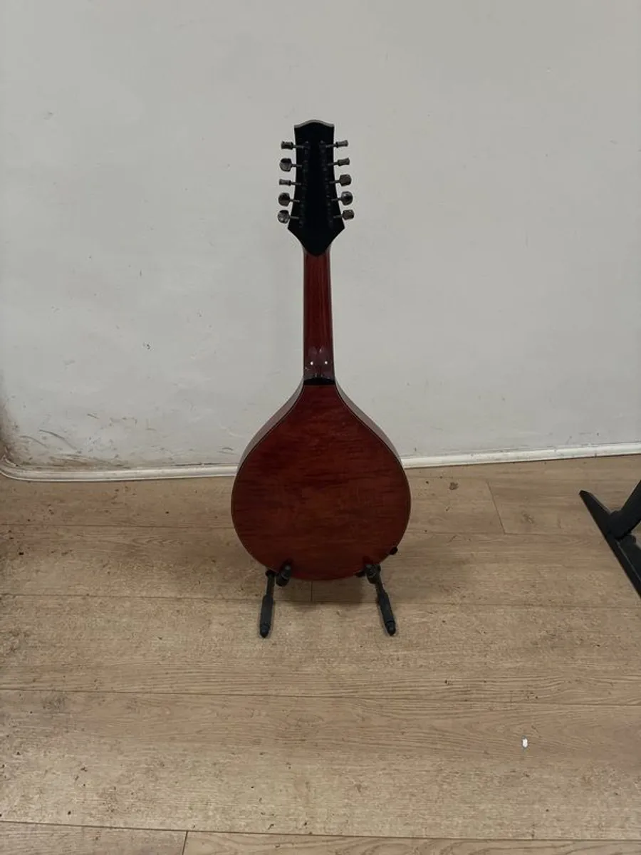 10 String Mandolin - Image 2