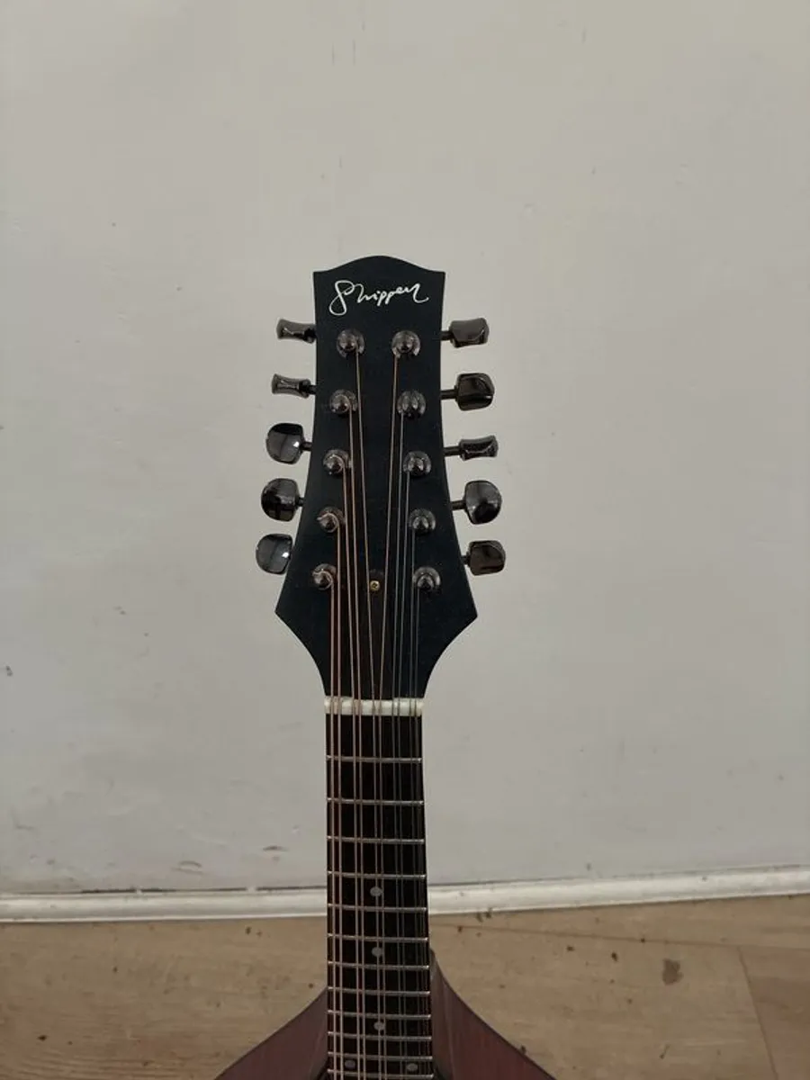 10 String Mandolin - Image 3