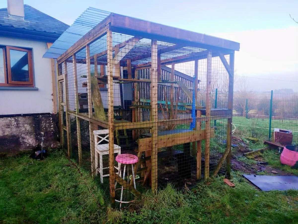 Catio/Pet Run - Image 1