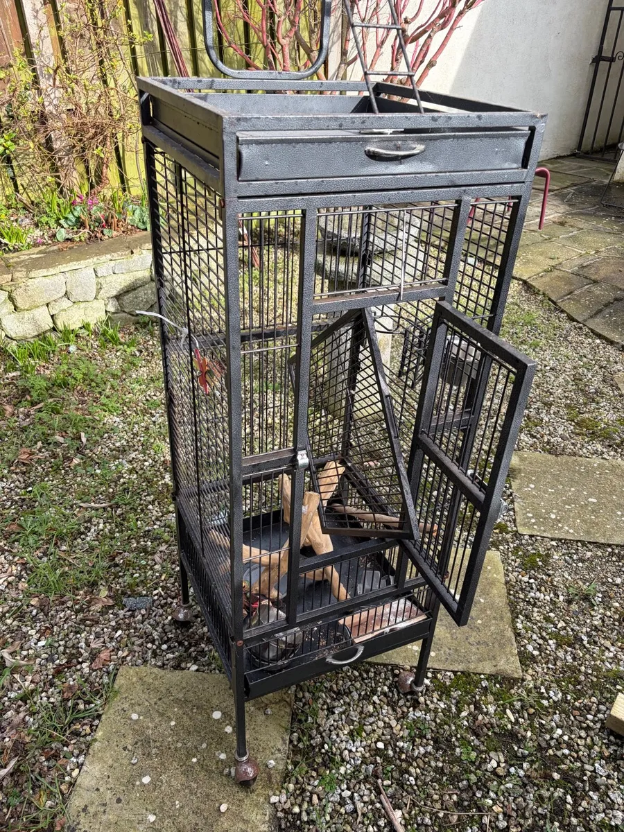 Bird cages - Image 3