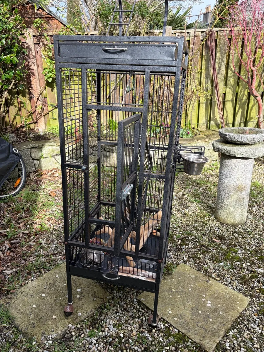 Bird cages - Image 4