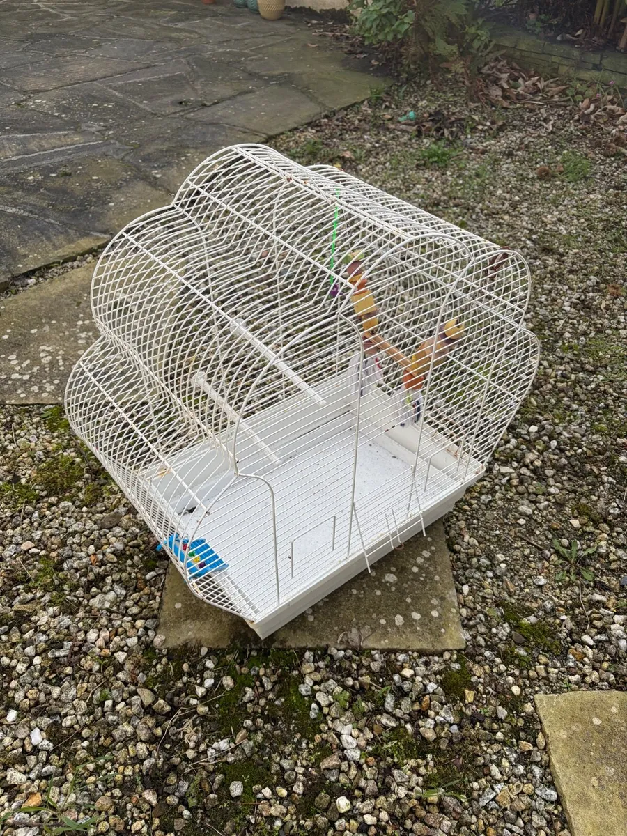 Bird cages - Image 1