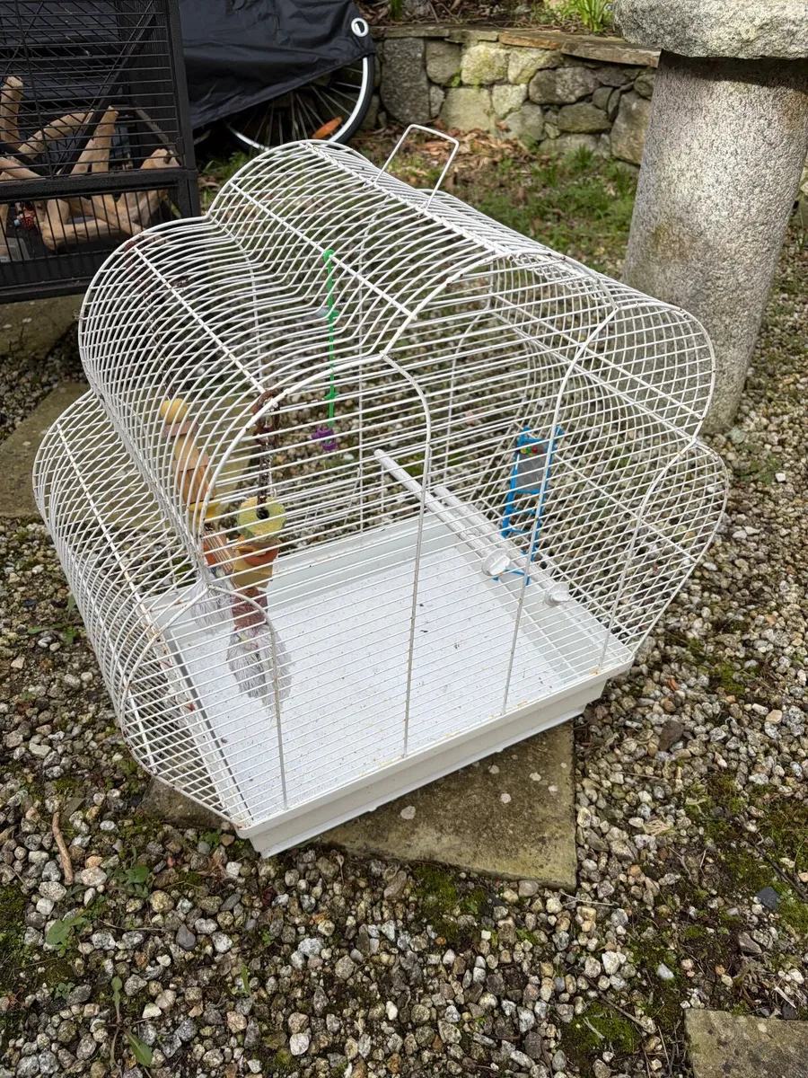 Bird cages - Image 2