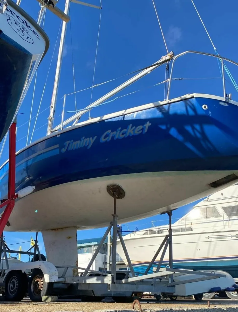 Hunter Impala 28OOD: GBR 9507 – Jiminy Cricket - Image 3