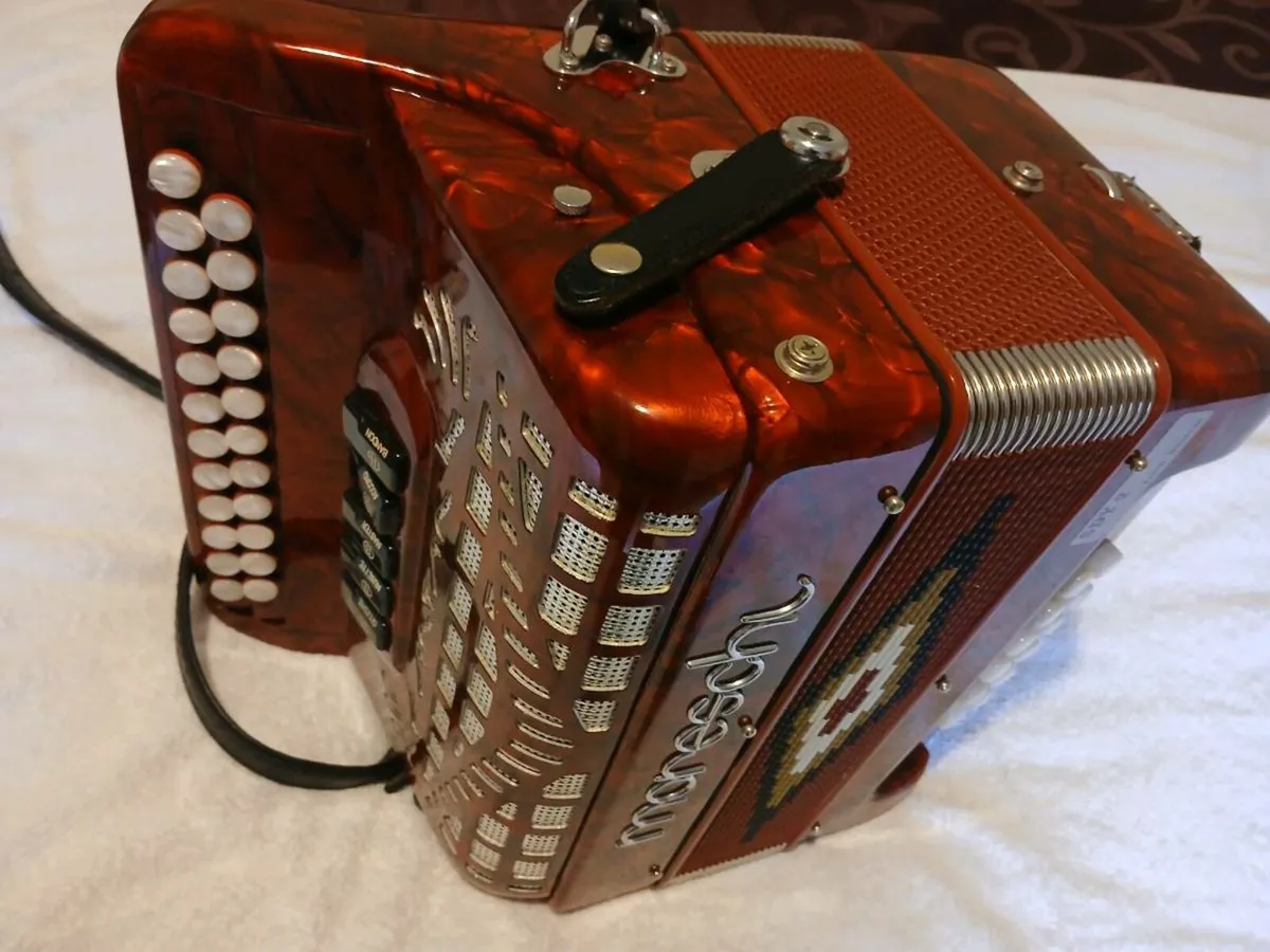 Accordion - Image 3