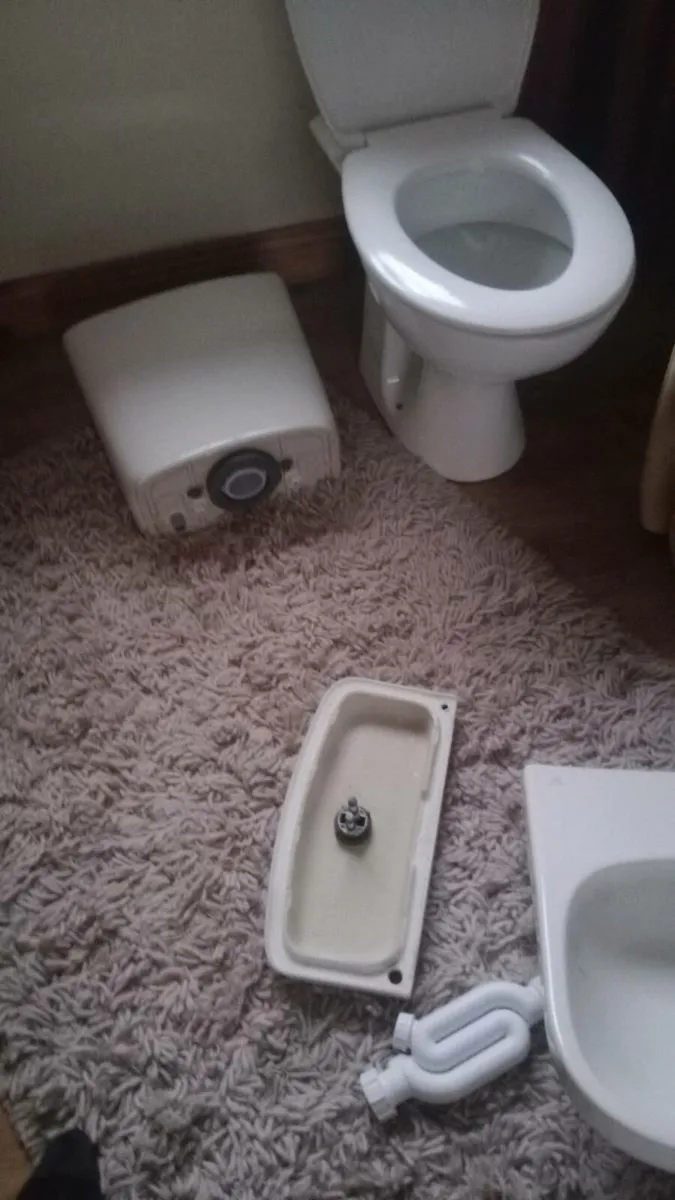 Sink and toilet new - Image 2